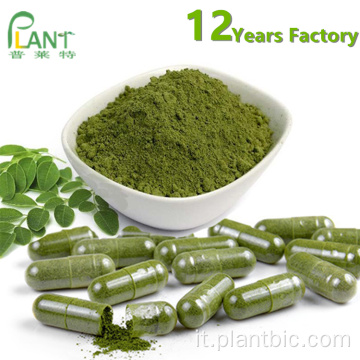 capsule di polvere di foglie di moringa organica